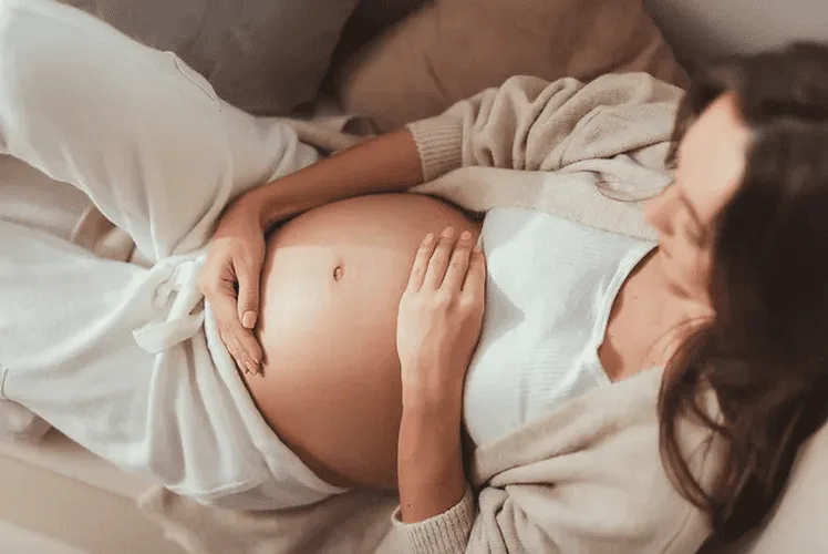 Guia para el embarazo