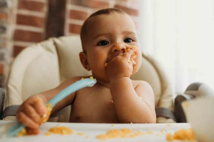 ¿A partir de cuantos meses puede un bebe comer embutido?