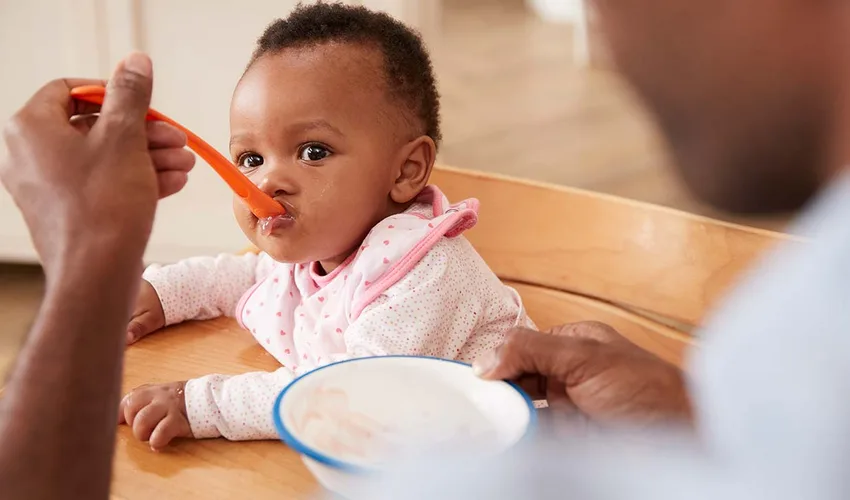¿A partir de cuantos meses puede un bebe comer leche de nuez de macadamia?