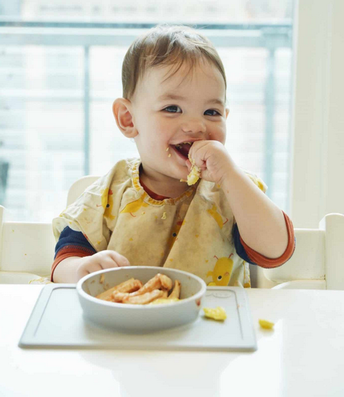 ¿A partir de cuantos meses puede un bebe comer riñones de cerdo?