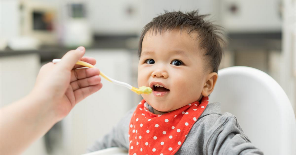 ¿A partir de cuantos meses puede un bebe comer salsa bechamel?