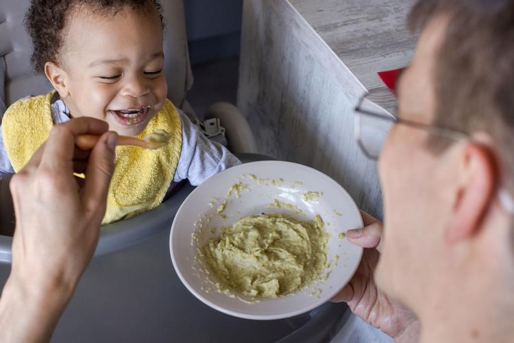 ¿A partir de cuantos meses puede un bebe comer arándano silvestre?