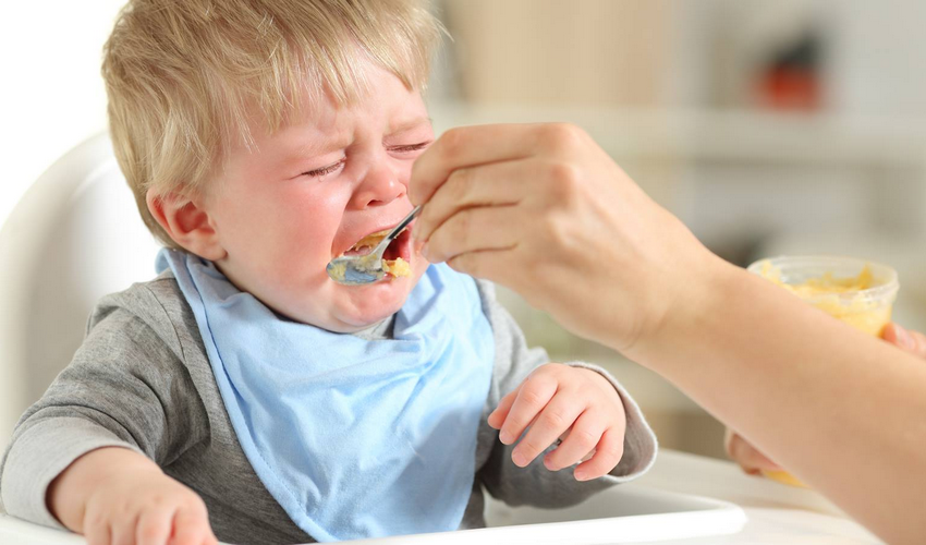 ¿A partir de cuantos meses puede un bebe comer carne de renacuajo?