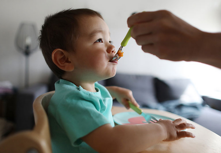 ¿A partir de cuantos meses puede un bebe comer jurel?