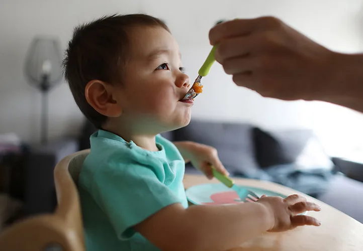 ¿A partir de cuantos meses puede un bebe comer perca?