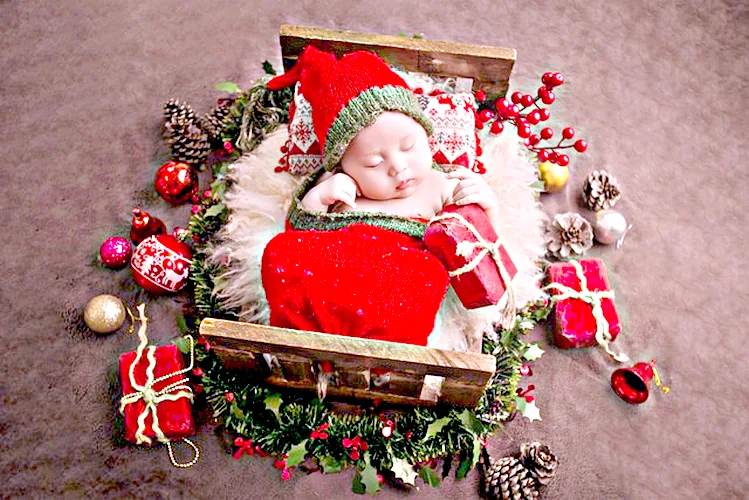 Como cuidar a un gato bebe