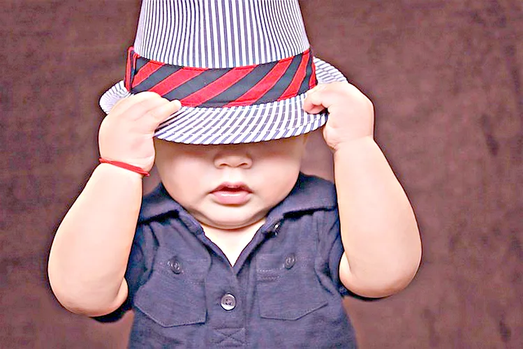 Como cuidar a un gato bebe