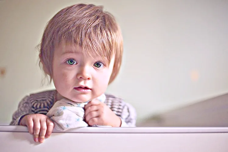 Cuando se le puede dar gelatina a un bebe