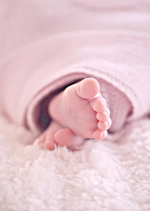 Cuando se le puede dar gelatina a un bebe